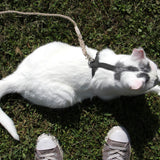 Black Just Hemp H-Style Cat Harness