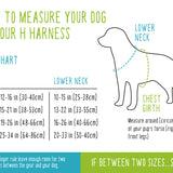  H Harness Size Chart