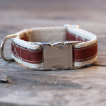 Adventurer Cork Hemp Dog Collar - Sangria Red