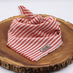 Fringed Candy-striped Dog Bandana